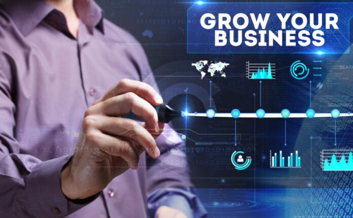 organic growth vs inorganic growth