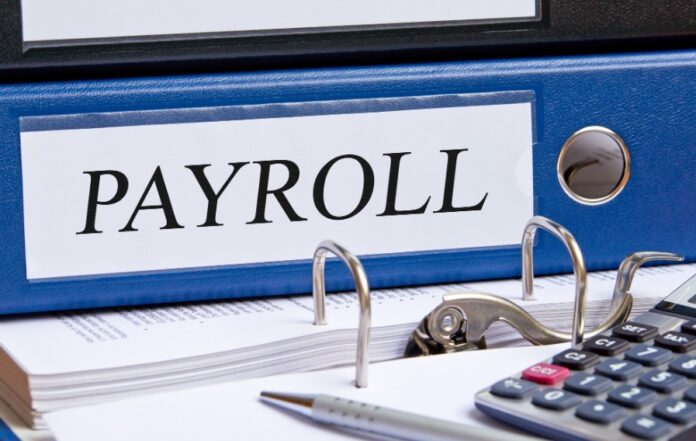 small business payroll company