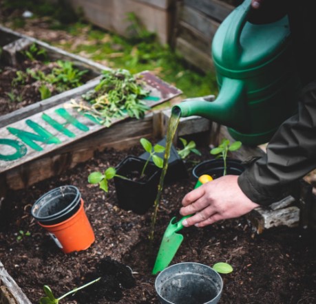 Gardening