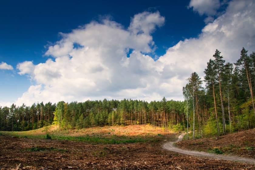 how to start a land clearing business