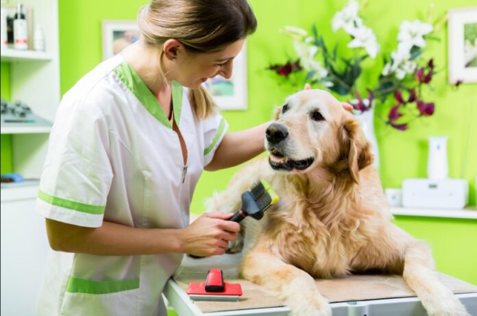 pet grooming supplies