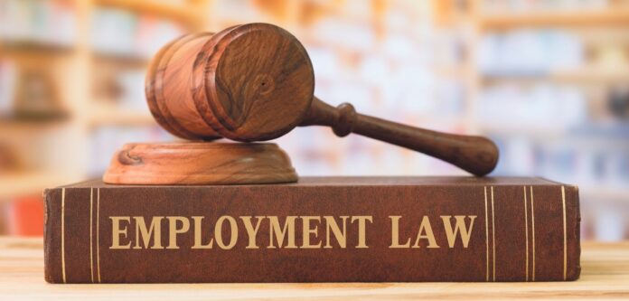 Employment Attorney